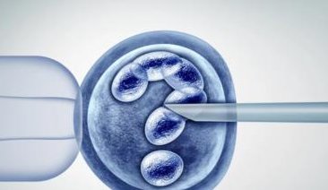 2026国内做三代试管出名成功率高的公立医院有哪些？