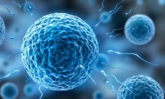 2026中山最大型的助孕公司名单实时发布，中山排名前十机构名单含费用